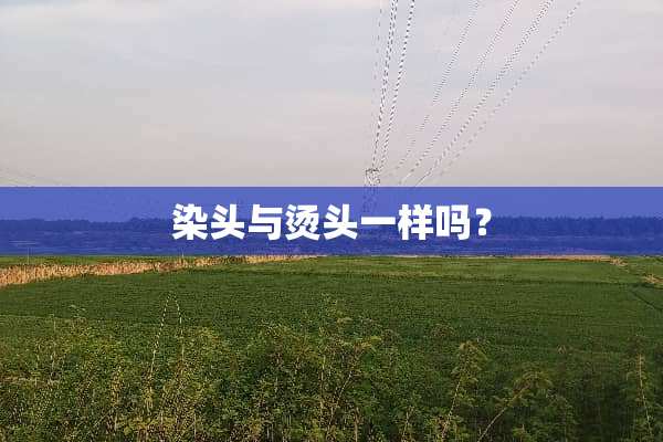 染头与烫头一样吗？
