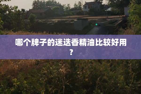 哪个牌子的迷迭香精油比较好用？