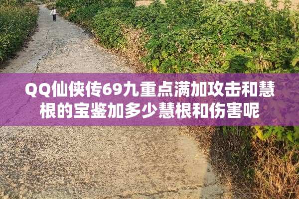 QQ仙侠传69九重点满加攻击和慧根的宝鉴加多少慧根和伤害呢