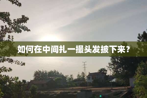 如何在中间扎一撮头发披下来？