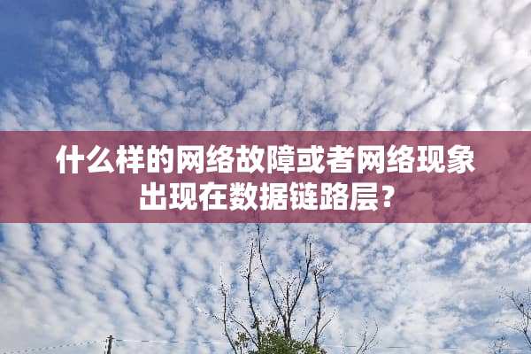 什么样的网络故障或者网络现象出现在数据链路层？