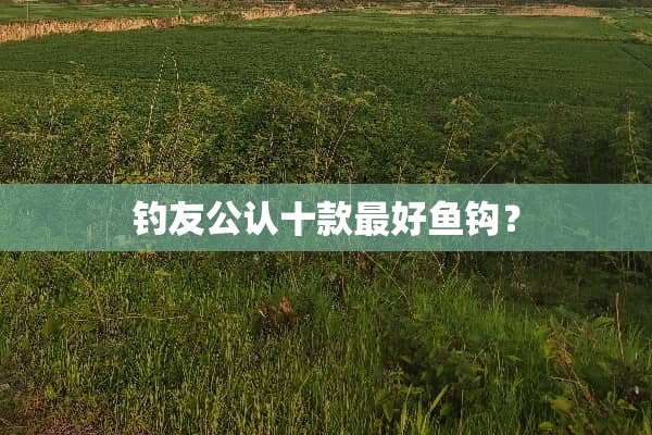 钓友公认十款最好鱼钩？