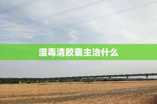 湿毒清胶囊主治什么