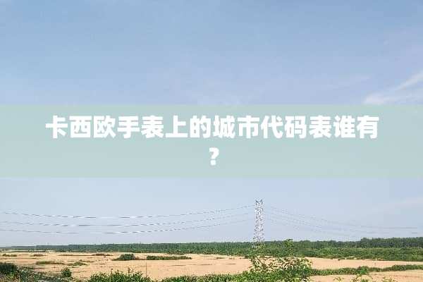 卡西欧手表上的城市代码表谁有？