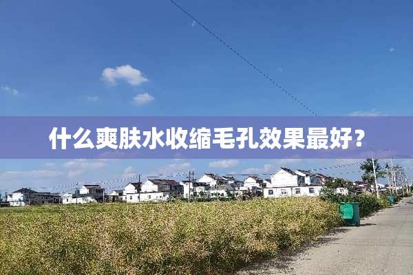 什么爽肤水收缩毛孔效果最好？