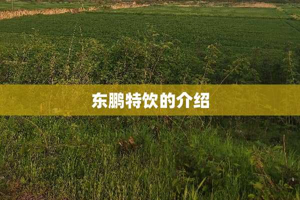 东鹏特饮的介绍