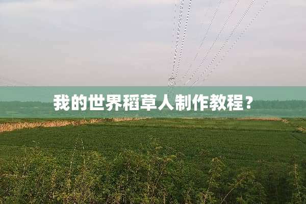我的世界稻草人制作教程？