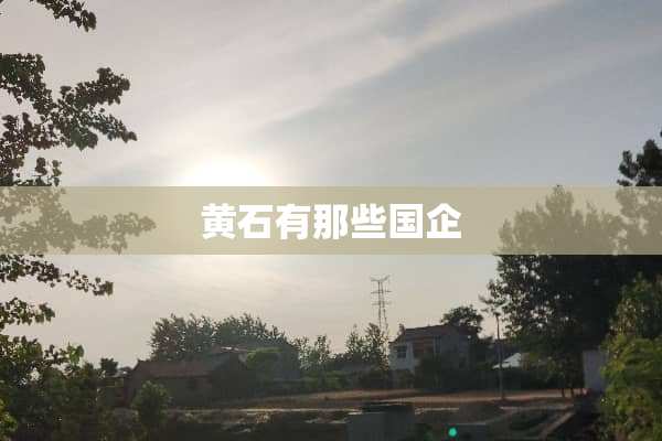 黄石有那些国企
