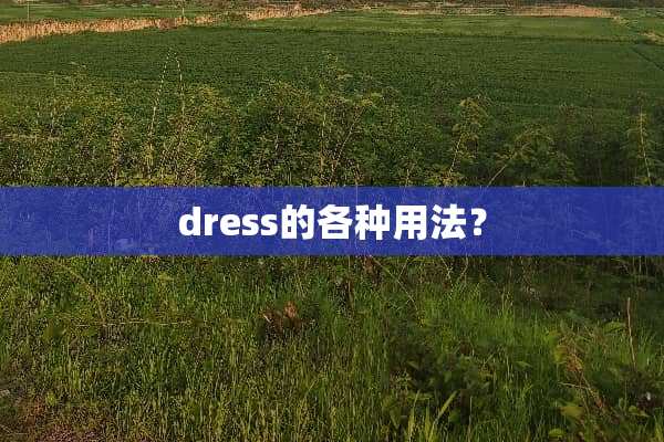 dress的各种用法？