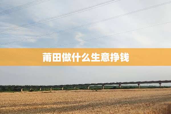 莆田做什么生意挣钱