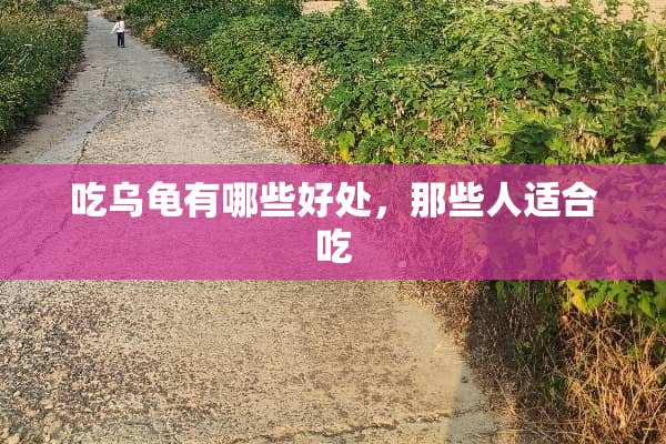 吃乌龟有哪些好处，那些人适合吃