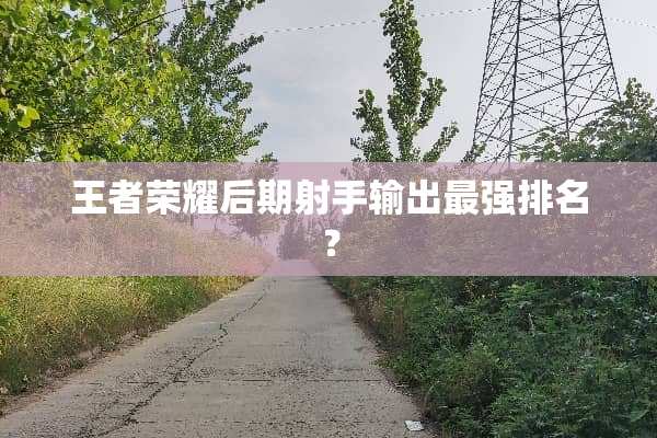 王者荣耀后期射手输出最强排名？