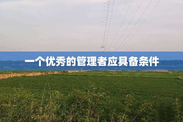 一个优秀的管理者应具备条件