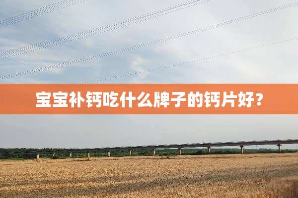 宝宝补钙吃什么牌子的钙片好？