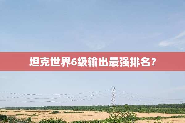 坦克世界6级输出最强排名？