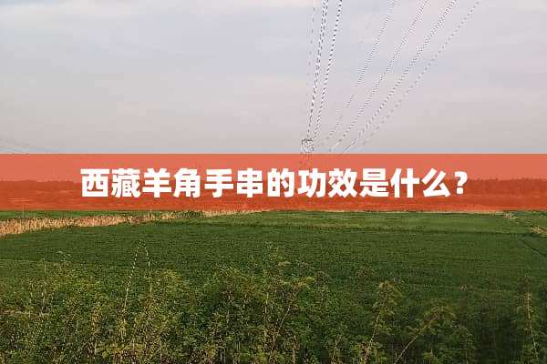西藏羊角手串的功效是什么？