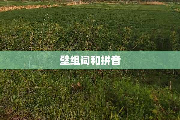 壁组词和拼音