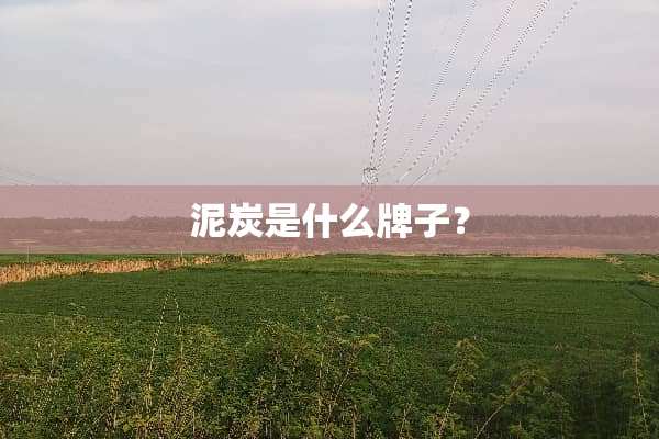 泥炭是什么牌子？