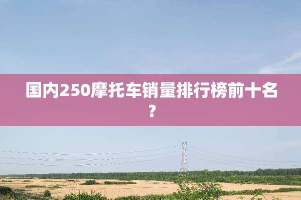 国内250摩托车销量排行榜前十名？