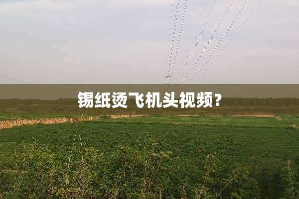 锡纸烫飞机头视频？