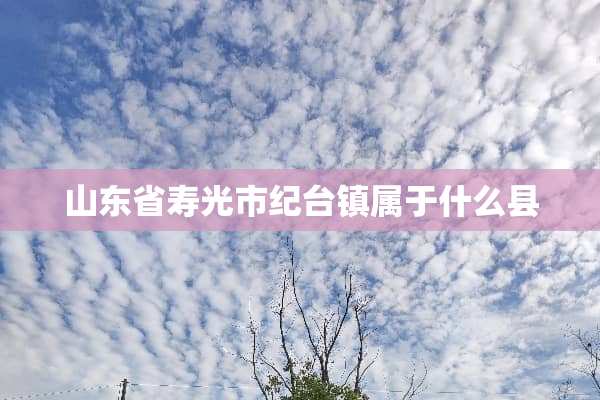 山东省寿光市纪台镇属于什么县