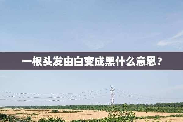 一根头发由白变成黑什么意思？