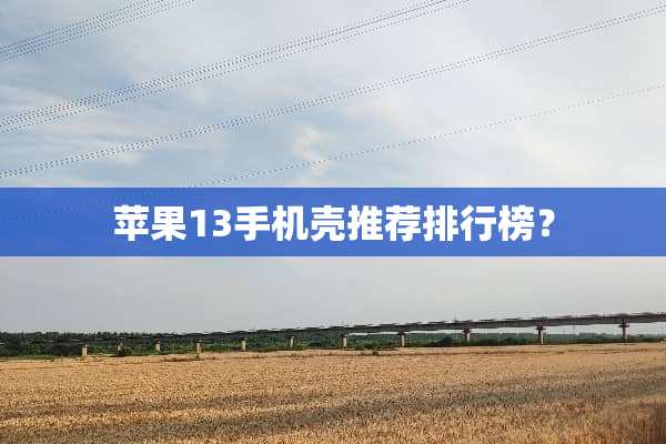 苹果13手机壳推荐排行榜？