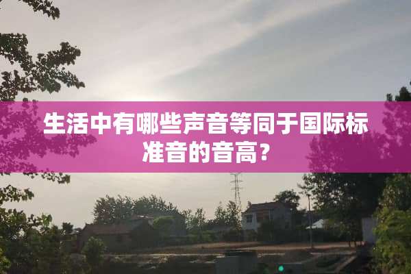 生活中有哪些声音等同于国际标准音的音高？