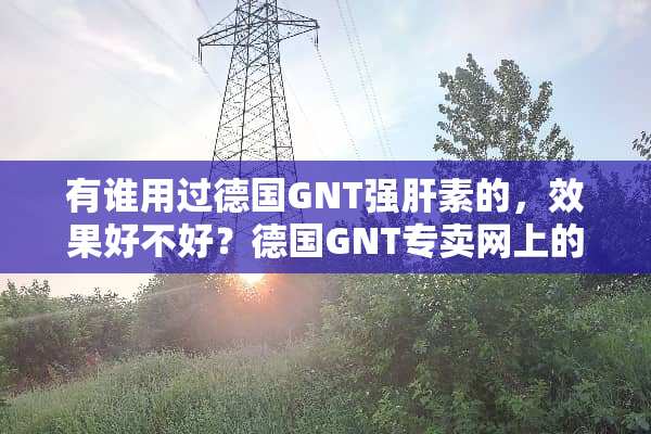 有谁用过德国GNT强肝素的，效果好不好？德国GNT专卖网上的是不是正品？