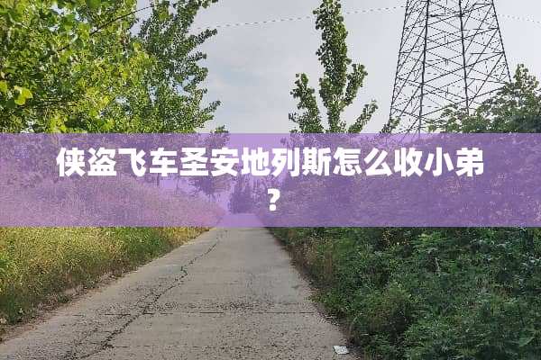 侠盗飞车圣安地列斯怎么***？