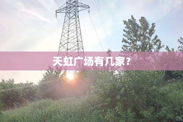天虹广场有几家？