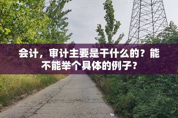 会计，审计主要是干什么的？能不能举个具体的例子？