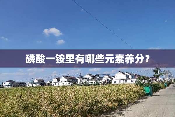 磷酸一铵里有哪些元素养分？