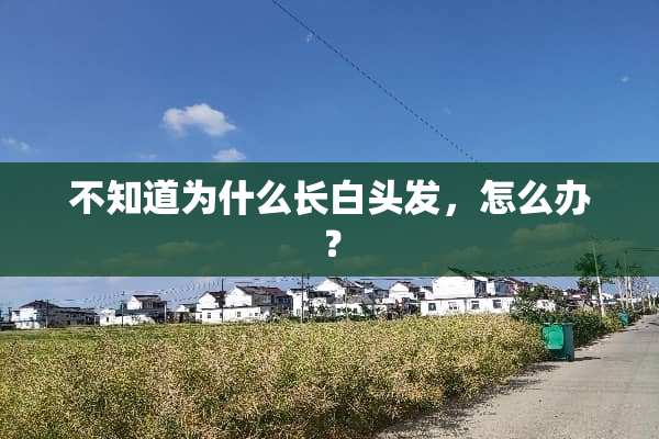 不知道为什么长白头发，怎么办？