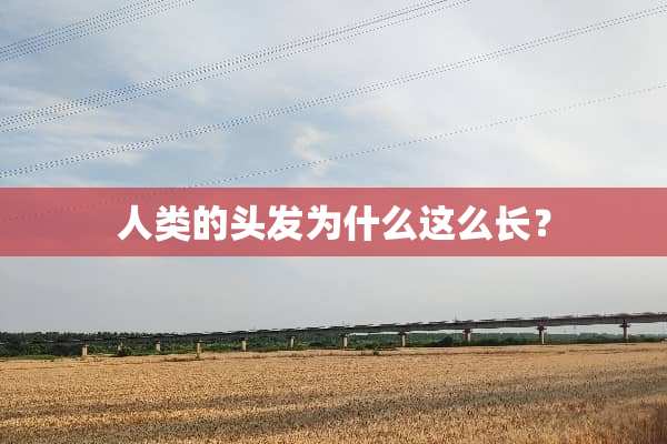 人类的头发为什么这么长？