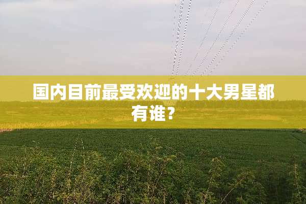 国内目前最受欢迎的十大男星都有谁？