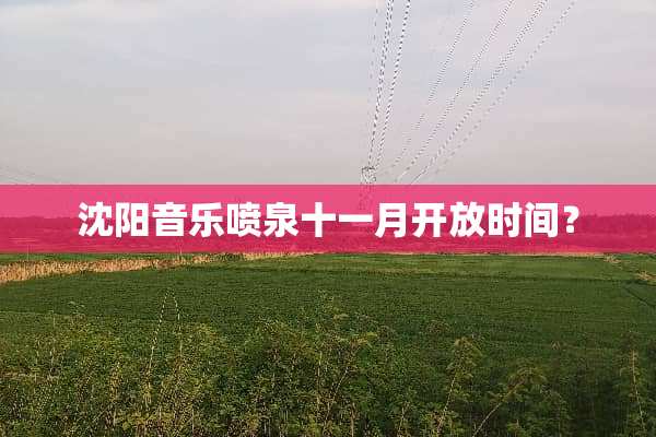 沈阳音乐喷泉十一月开放时间？