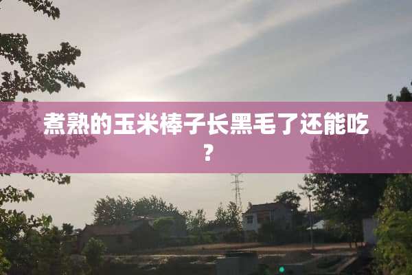 煮熟的玉米棒子长黑毛了还能吃？