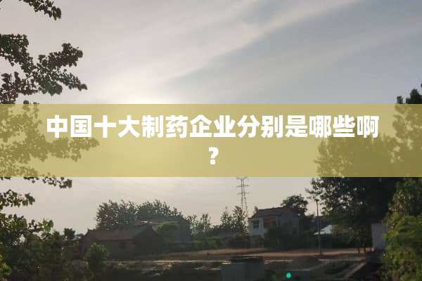 中国十大制药企业分别是哪些啊？