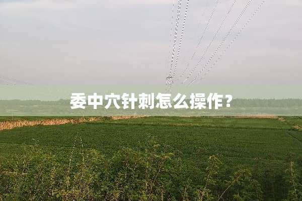 委中*针刺怎么操作？