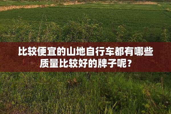 比较便宜的山地自行车都有哪些质量比较好的牌子呢？