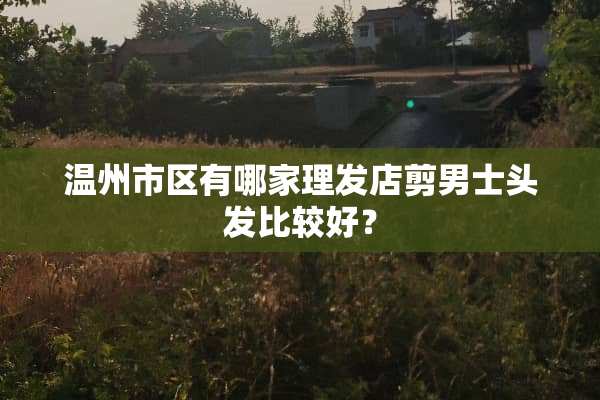 温州市区有哪家理发店剪男士头发比较好？