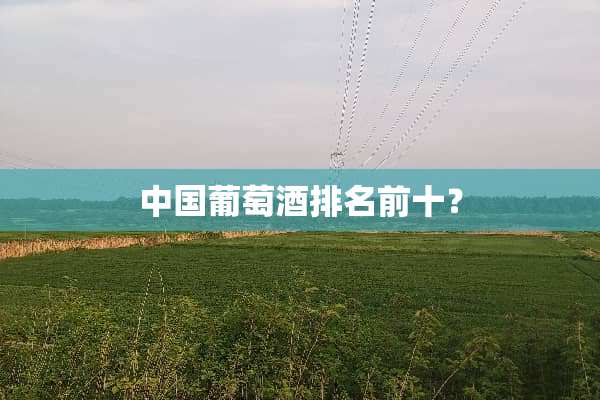 中国葡萄酒排名前十？