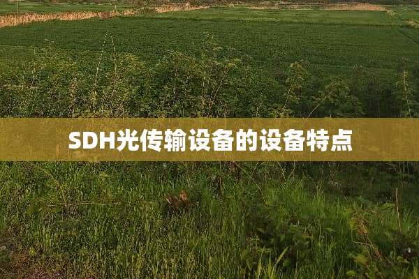 SDH光传输设备的设备特点
