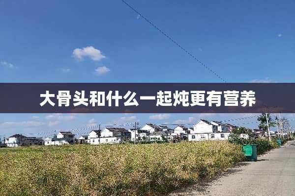 大骨头和什么一起炖更有营养
