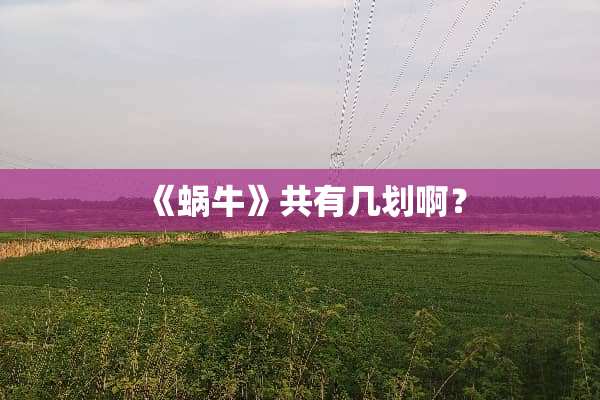 《蜗牛》共有几划啊？