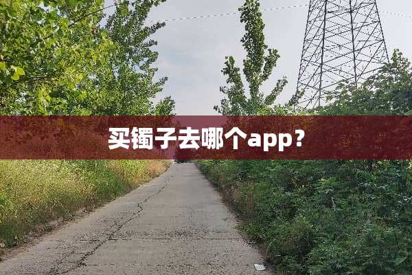买镯子去哪个app？