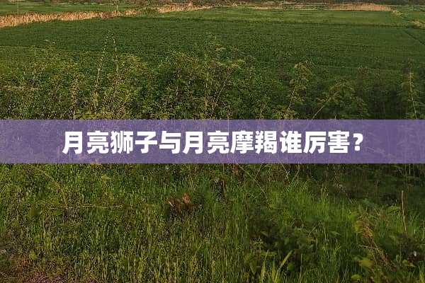月亮狮子与月亮摩羯谁厉害？