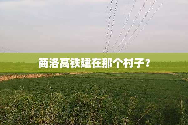 商洛高铁建在那个村子？
