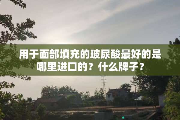 用于面部填充的玻尿酸最好的是哪里进口的？什么牌子？